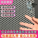 阳台防护网塑料网防掉东西窗户围网防盗窗垫板安全网防猫防坠封窗