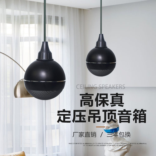 悬挂式定压音响球形音箱