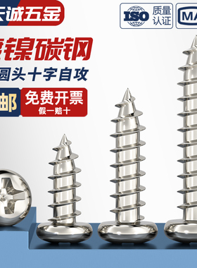 PA M1-M6加硬镀镍盘头螺钉圆头十字自攻电子螺丝M2M2.6M2.8M3M4M5