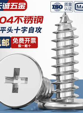 304不锈钢CA扁平头自攻螺丝钉大薄头子平头尖尾十字木MM2M3M4M5M6