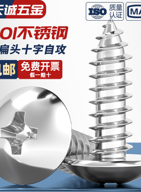 201不锈钢大扁头十字自攻螺丝钉半蘑菇头伞头圆头大木螺丝MM3M4M5