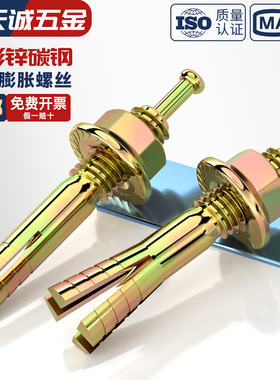 国标高强度膨胀螺栓击芯膨胀螺丝锤钉壁虎一钉得M6M8M10M12M16M20
