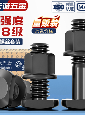 8.8级T型螺栓套装槽用模具压板冲床铣床GB37螺丝M8M10M12M16-MM36