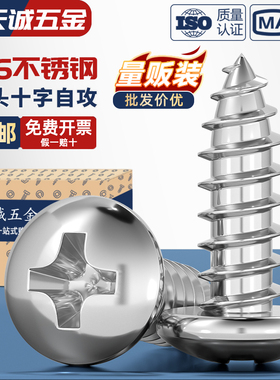 国标316不锈钢十字圆头自攻螺丝加长盘头大头木牙螺钉MM2M3M4M5M6