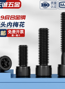 12.9级梅花孔螺丝钉圆柱头内六角螺栓M3M5M6M8M10*8x10/12/16/20