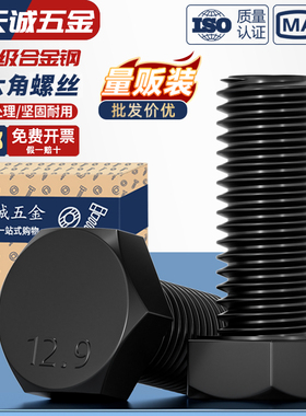 12.9级高强度外六角螺丝螺栓螺钉M5M6M8M10M12M14M16M18M20M22M24