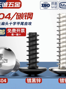 TB镀镍/黑色/304不锈钢十字大扁头自攻螺丝平尾蘑菇头自攻钉M3M4