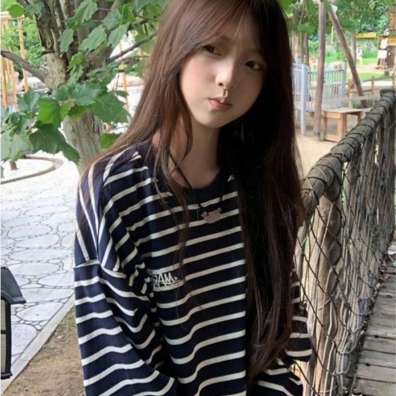 美式复古条纹新款圆领刺绣长袖T恤女秋季休闲超火宽松慵懒风上衣