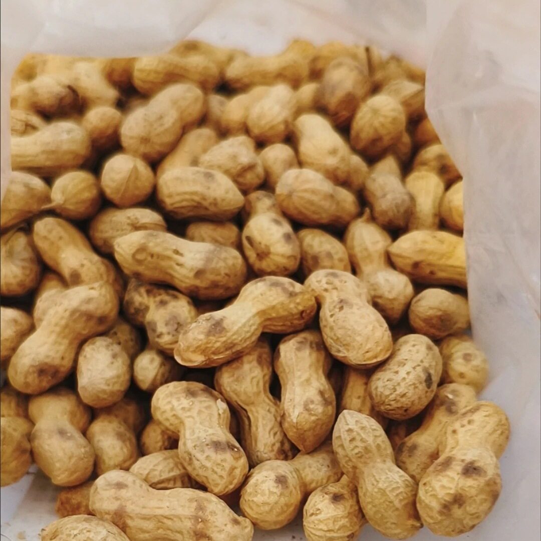 新货现炒花生原味铁锅农家铁锅炒花生炒珍珠花生柴火炒花生