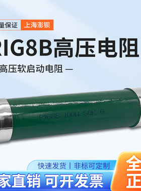 RIG8B 绿色玻璃釉高频高压软启动放电电阻 100W 50K 5M 150W 1M2