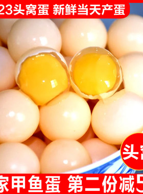 农家新鲜甲鱼蛋食用王八蛋甲鱼蛋