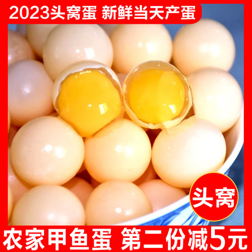 农家新鲜甲鱼蛋食用王八蛋甲鱼蛋