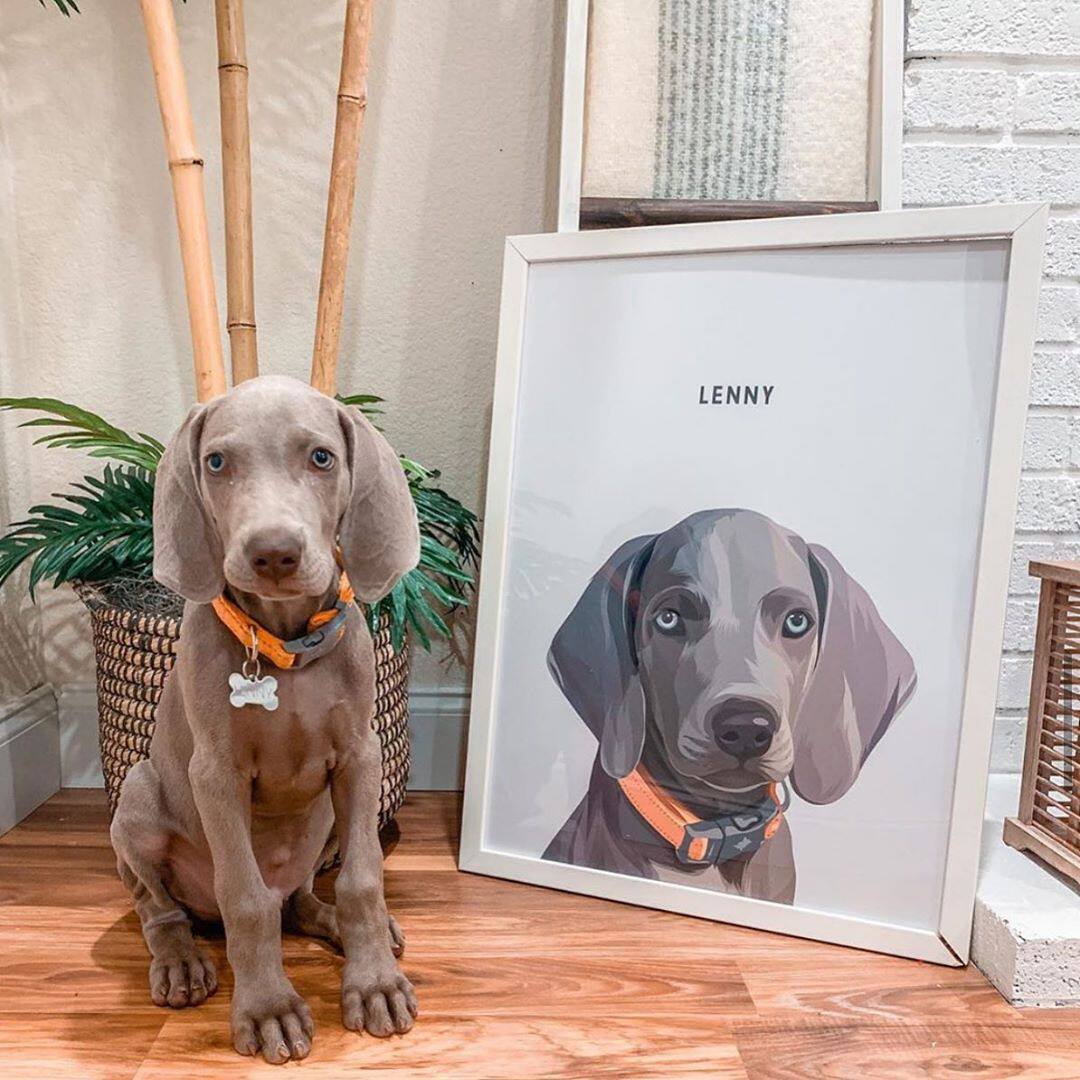 puplook 电子手绘定制 萌宠 宠物肖像手绘画  礼物纪念品 装饰画