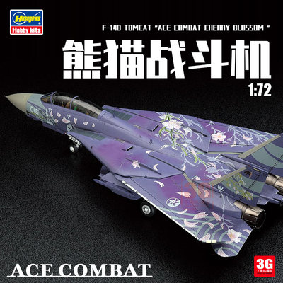 F-14D战斗机模型模型长谷川