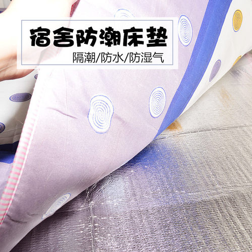 宿舍单人防潮垫床垫子