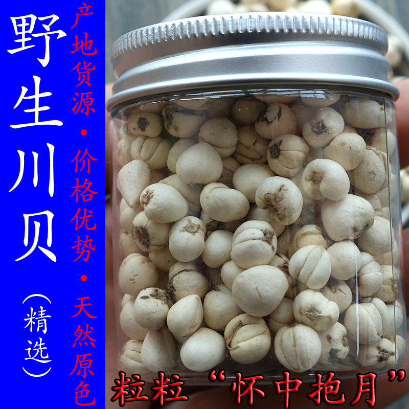 野生川貝四川阿壩正品川貝母松貝尖貝産地直銷全懷中抱月50克瓶裝在類目 傳統滋補營養品, 藥食同源食品, 川貝中 - 來自Buy2taobao.com提供專業的淘寶代購服務