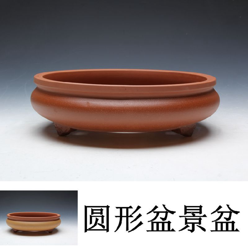 紫砂花盆文人提根景菖蒲树桩造景多肉植物组合室内桌面阳台种植