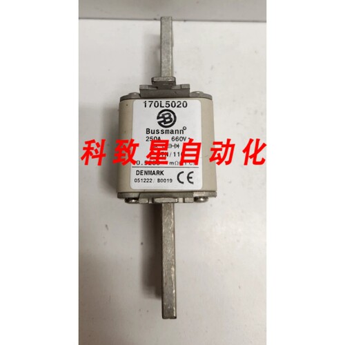 工业配件250A 660V 指示灯保险丝 170L5020