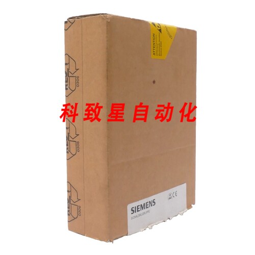 工业配件6DS1 916-8RR E:05 6DS1916-8RR