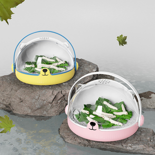 顺丰当天发蚕宝宝太空舱学生养蚕套装观察箱蚕卵子幼虫饲养盒桑叶