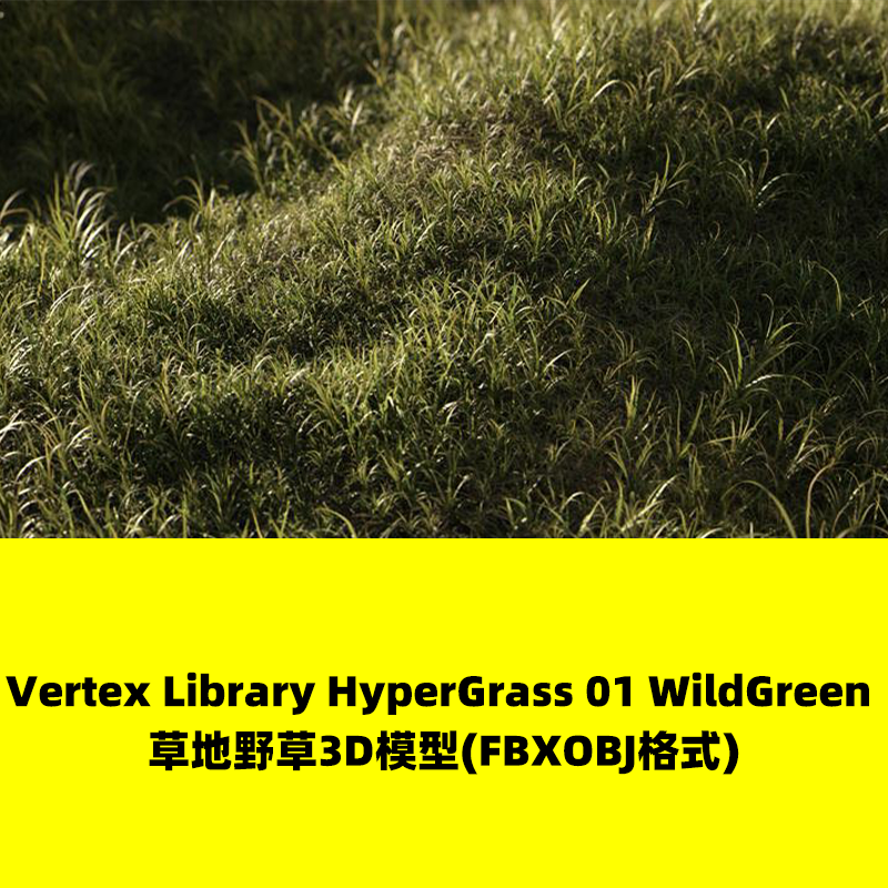 Vertex Library HyperGrass WildGreen草地野草3D模型(FBXOBJ)