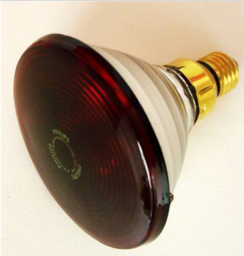 超值 大优惠 东田洋 D-350配件 卵巢保养230v150w 红外线灯泡