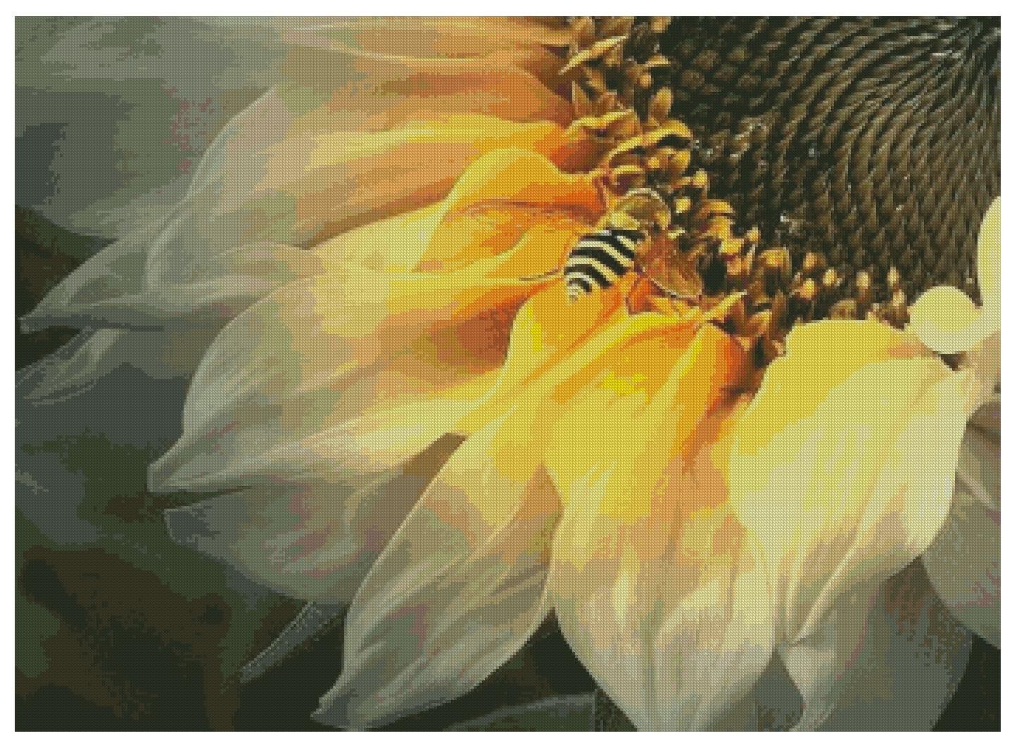 法国DMC十字绣套件HAE-HH015向日葵与蜜蜂  客厅卧室 精准印花