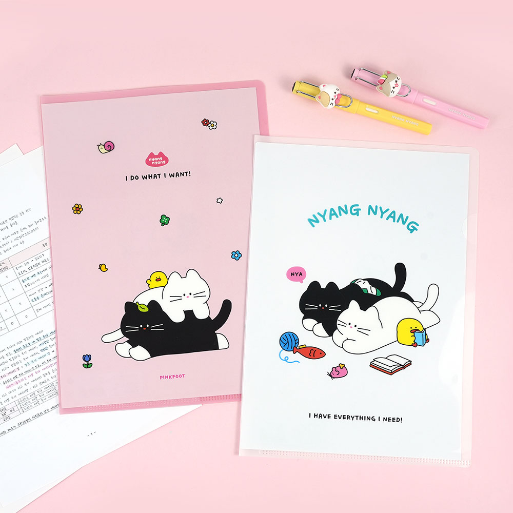 半透明文件夹pinkfoot韩国