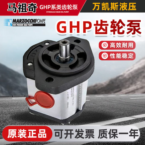 马祖奇齿轮泵原装现货