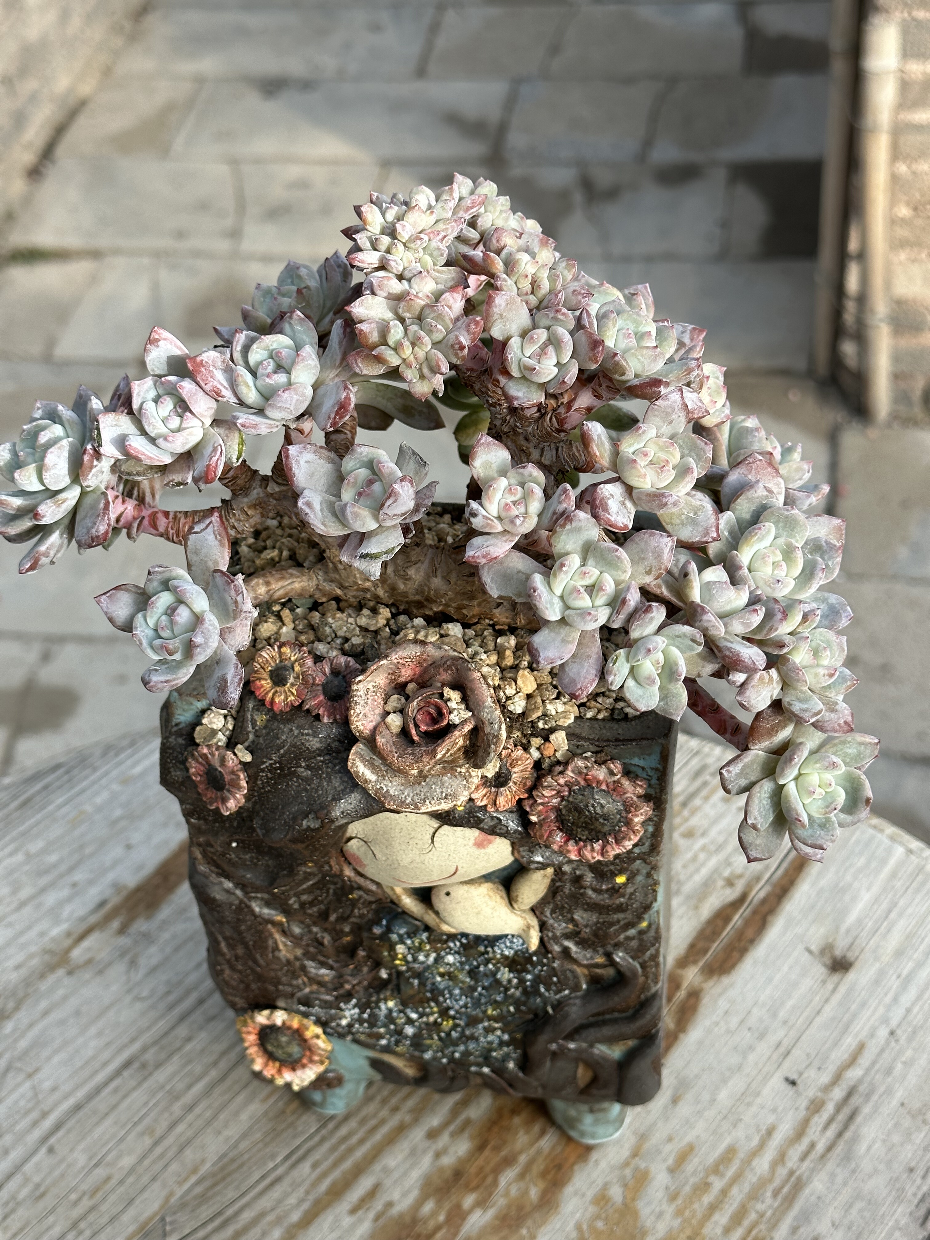 小脸星影朵朵小树造型桩