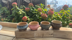 定制贝盆1987一个厂家内口6 可以挑 8.5左右4个一组99元