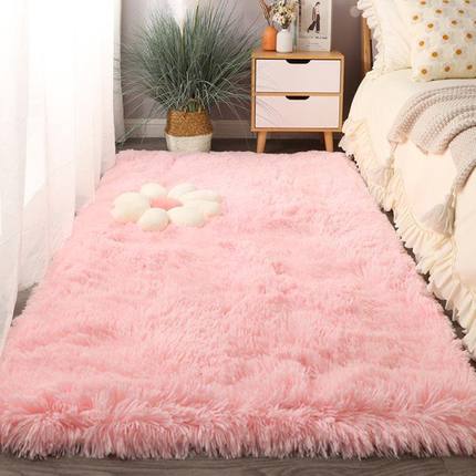 地毯坐垫卧室高级感耐脏主卧室床下地毯加厚女生ins风网红毛绒垫
