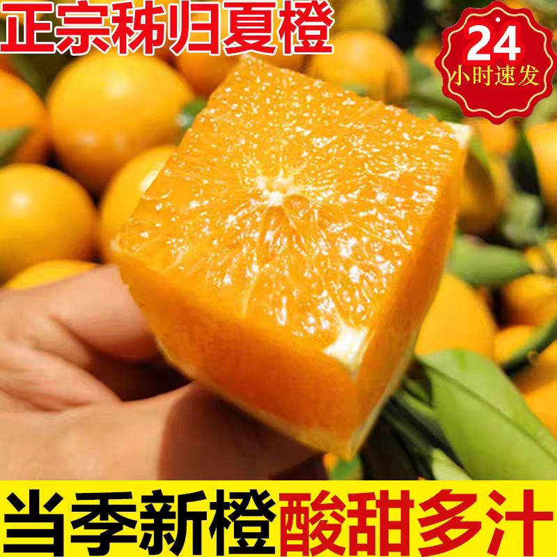 橙子秭归夏橙新鲜水果当季现摘榨橙