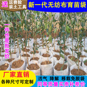 无纺布育苗袋营养袋加厚育苗杯可降解种植袋一次性花盆营养钵定做