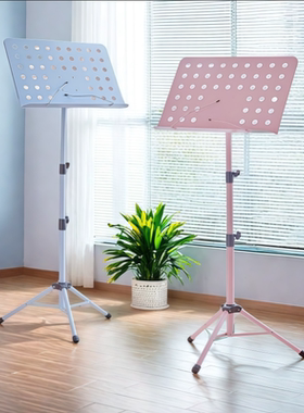 谱架 可升降乐谱架古筝小提琴便携乐谱架家用二胡曲谱架