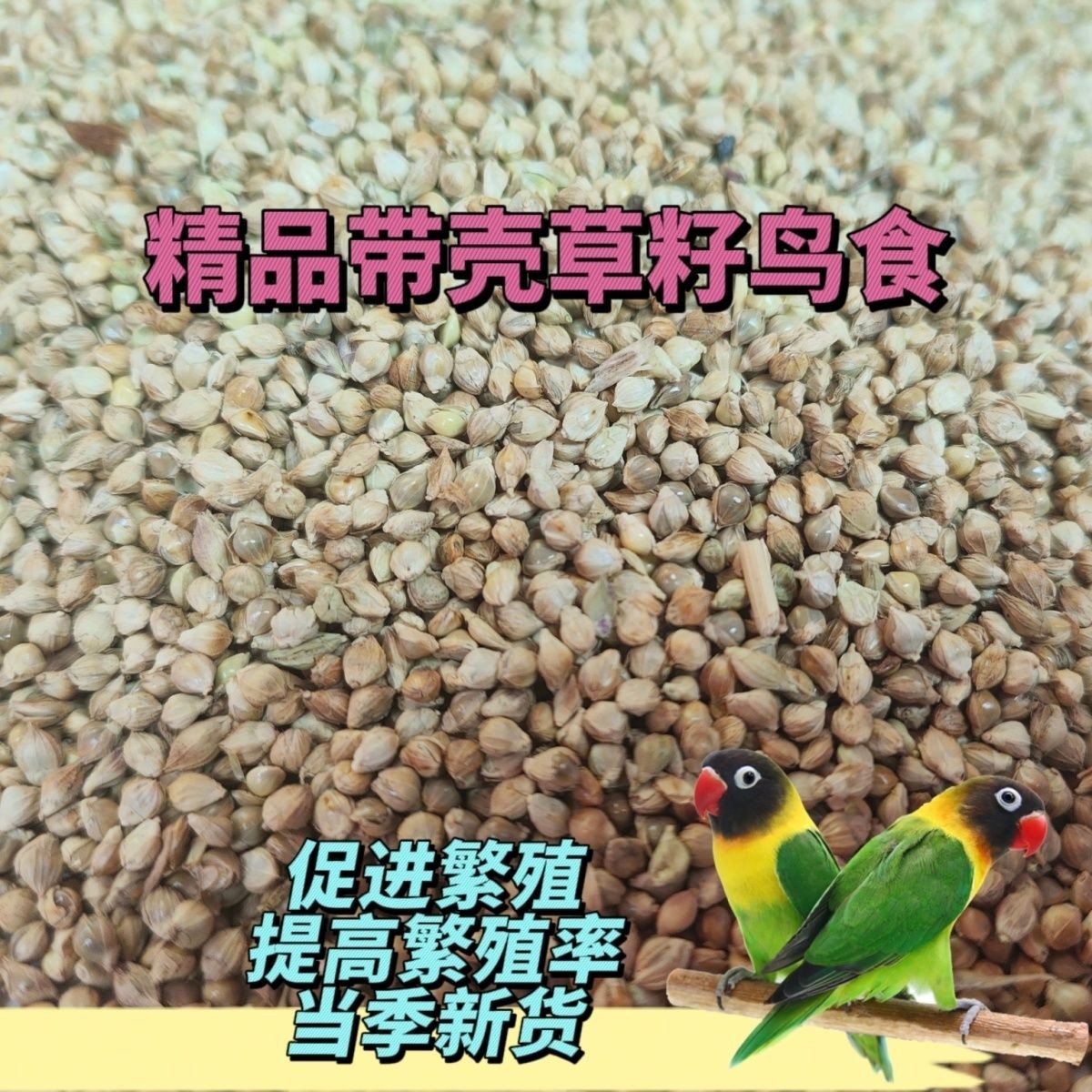 草籽鸟食稗子草籽带皮草种子芙蓉鸟鹦鹉珍珠鸟文鸟高蛋白质鸟饲料