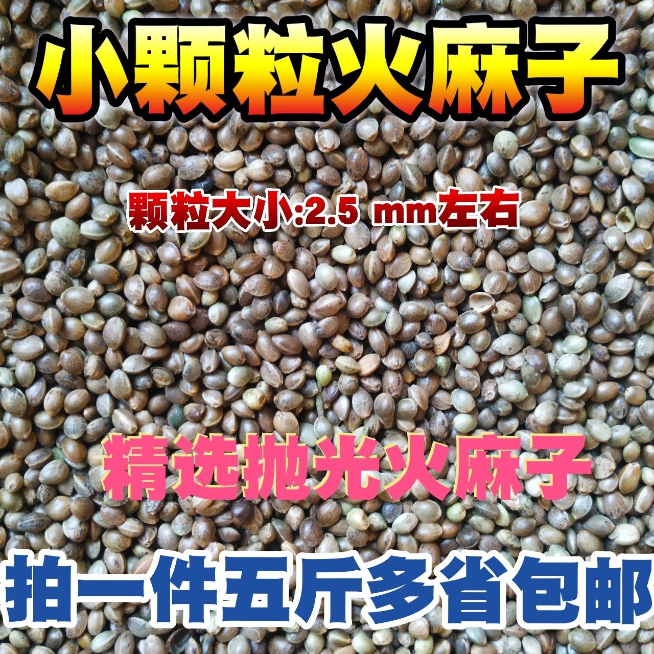 小粒火麻子鹦鹉鸽子斑鸠观赏鸟仓鼠龙猫饲料粮食鸟食鸽粮五斤包邮|msdalam kategori haiwan peliharaan/makanan haiwan dan bekalan, Burung dan bekalan, burung - dari Buy2taobao.com untuk memberikan perkhidmatan ejen Taobao profesional membeli