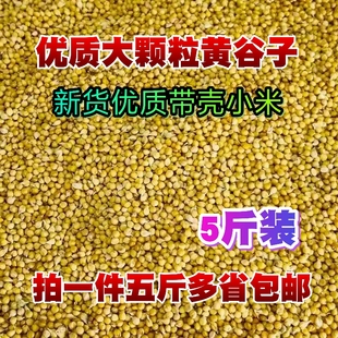 黄谷子鸟食带壳大颗粒谷子米鹦鹉粮红谷子黄谷子虎皮鸟粮饲料鸟食