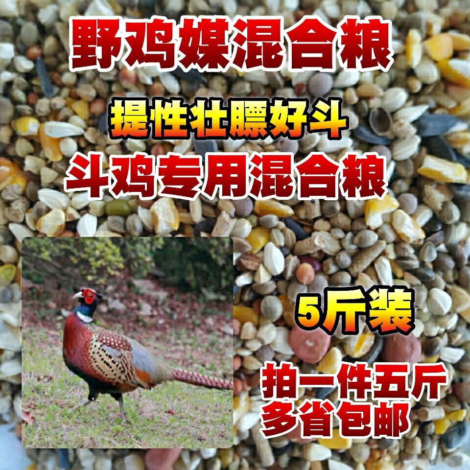 山鸡媒粮食 优质野鸡粮料斗鸡饲料提性壮膘竹鸡鹧鸪七彩鸡鸟食5斤