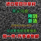 黑尖鸟食玉鸟吃 黑尖籽尼日尔草籽提性促进繁殖玉鸟芙蓉鸟金丝雀