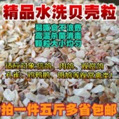 水洗贝壳粒保健砂鸽子补钙雪鸽粮补钙贝壳粒鸟粮鸽粮鸟食5斤 包邮