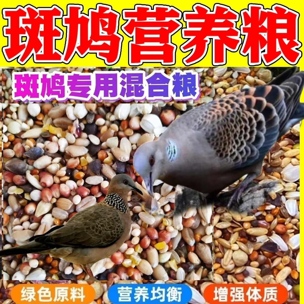 斑鸠粮食魔鬼饲料竹鸡小颗粒饲料鸽子食鹧鸪粮斑鸠鸽子专用混合粮