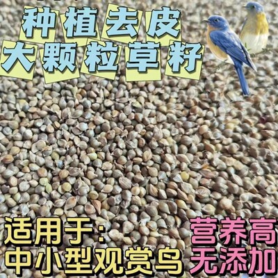 鸟食稗子草籽去皮草种子芙蓉鸟鹦鹉珍珠鸟文鸟高蛋白质鸟饲料包邮