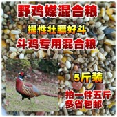 山鸡媒粮食 优质野鸡粮料斗鸡饲料提性壮膘竹鸡鹧鸪七彩鸡鸟食5斤