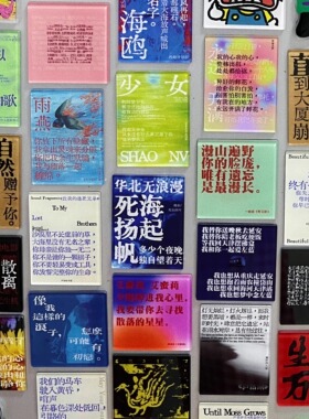 摇滚冰箱贴乐队周边文创磁吸万青回春丹赵雷结婚记海鸥音乐节物料