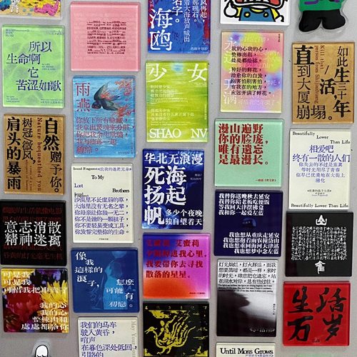 摇滚冰箱贴乐队周边文创磁吸万青回春丹赵雷结婚记海鸥音乐节物料