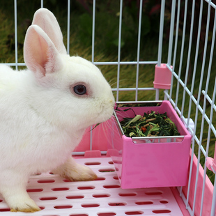 防扒翻碗荷兰猪草架 兔子食盆自动喂食器饲料食盒料槽龙猫固定挂式
