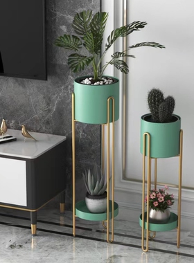 轻型豪华双层花架斯堪的纳维亚客厅地板站立简单Pothos花盆架阳台