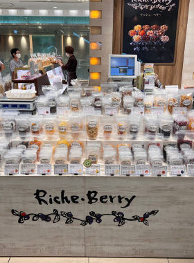 满200日本直邮 日本桥Riche Berry超级好吃的水果干系列
