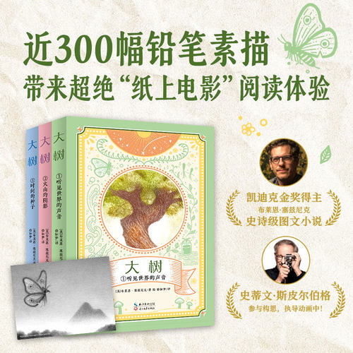 大树三部曲 凯迪克金奖得主 浪漫文学 审美高级 极具哲学深度 讲述关于恐惧和勇气的故事 儿童阅读 斯皮尔伯格参与构思 纸上电影